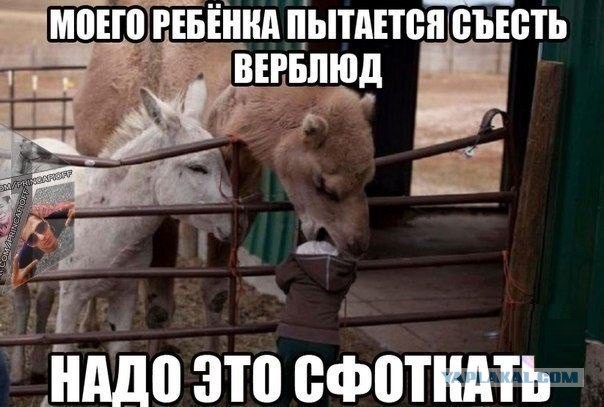 Картинок пачка