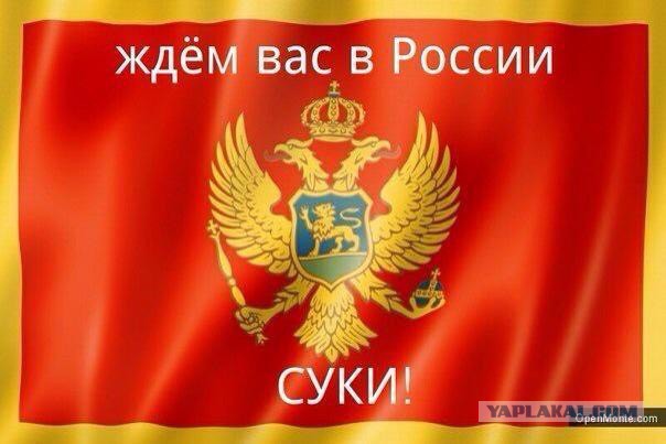 В голову Акинфеева попал ФАЕР