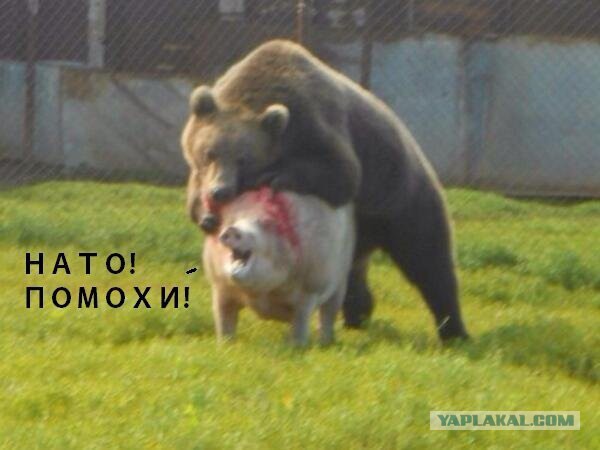 Предупреждение одесского подполья