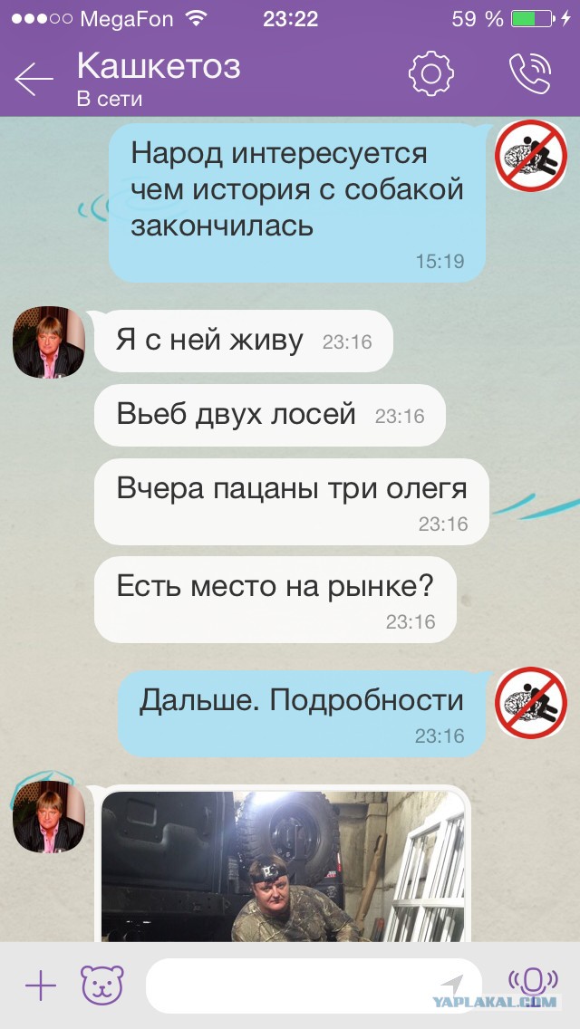 Припозднившийся собакочетверг