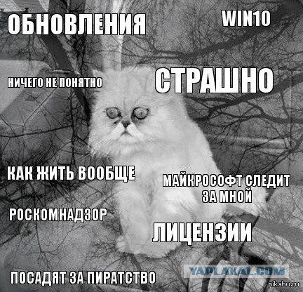 Windows 10 может загружаться на компьютер