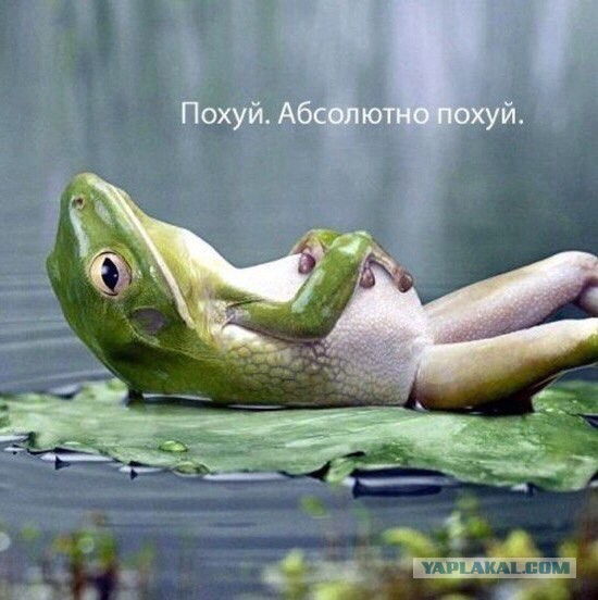 Абсурдный юмор ч.7