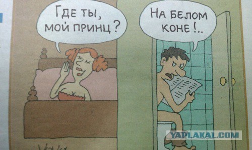 Мачо для Мохначо
