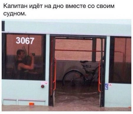 Просто картинки с сети