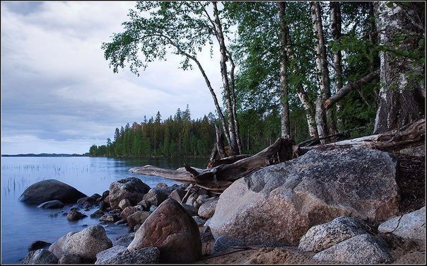 Фото интересные и не только