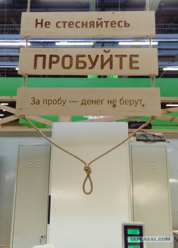Журнал школьный деградант