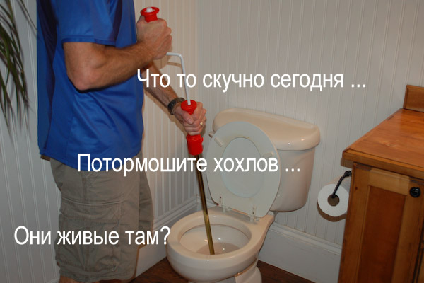 Драка в Киевоблсовете