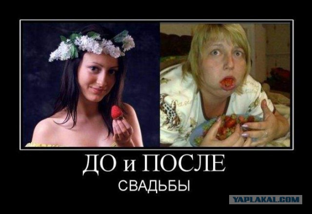 Да чё за хрень-то?!
