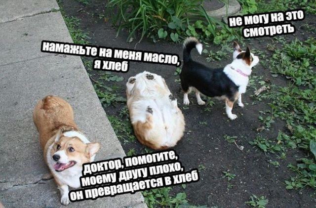 Нестандартный юмор