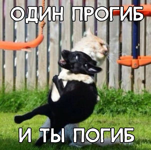 Немного картинок в этот вторник