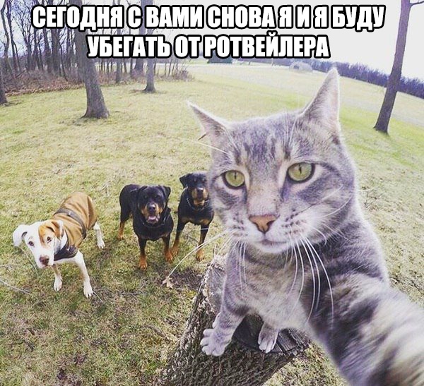 Немного картинок в этот четверг