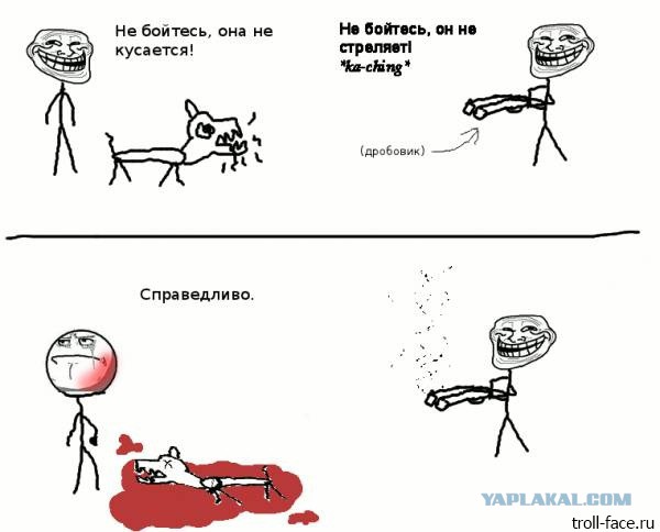 В Самаре стая бродячих собак напала на девушку, это увидели парни на машине и решили не проезжать мимо