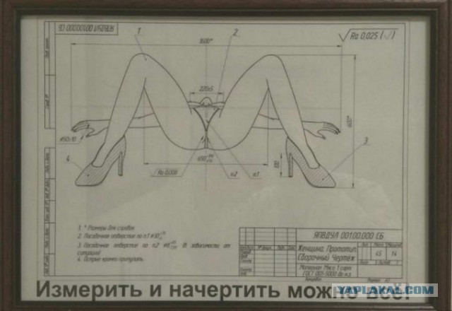 Дурацкие картинки