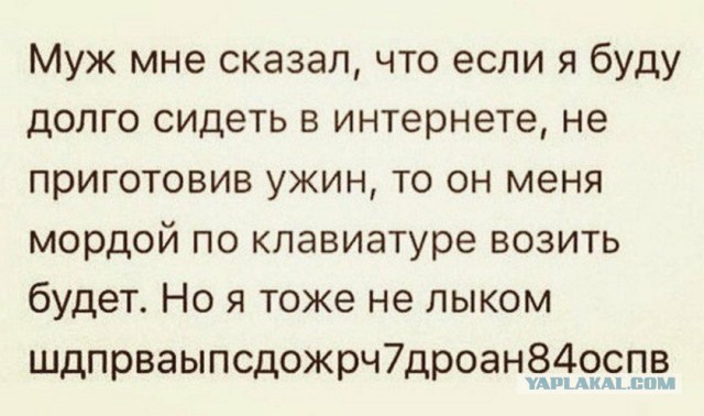 Анекдоты, соц-сети и картинки с надписями