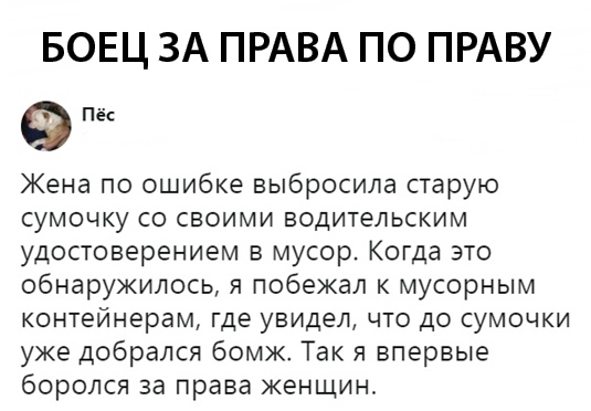 Смехопанорама