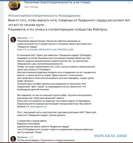Помогите вернуть кота! Приют "Преданное сердце" украл кота и не отдает!-2