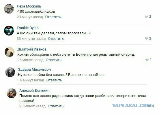 ⚡️Украинский лайнер со 180 пассажирами рухнул у тегеранского аэропорта