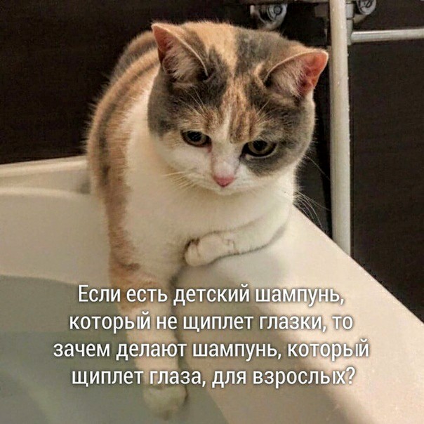 Немного картинок для настроения 07.07.20