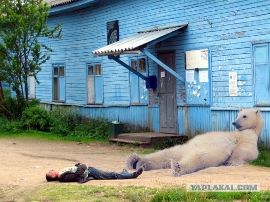 Алкоголик и притяжение