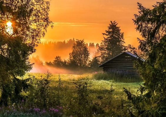 Прикольные и просто красивые картинки 18.08.2020