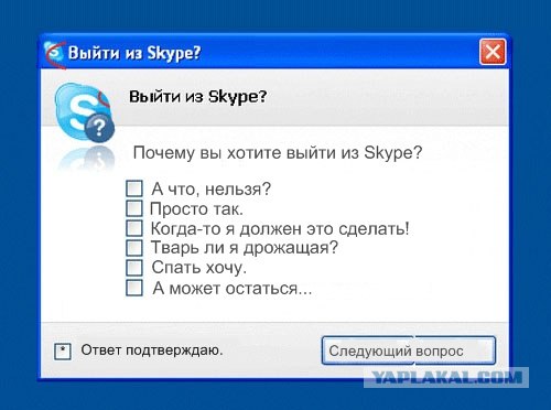 Фотожаба: Назойливый Skype