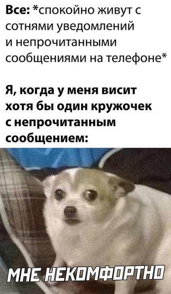 Немного картинок для настроения 16.11.20