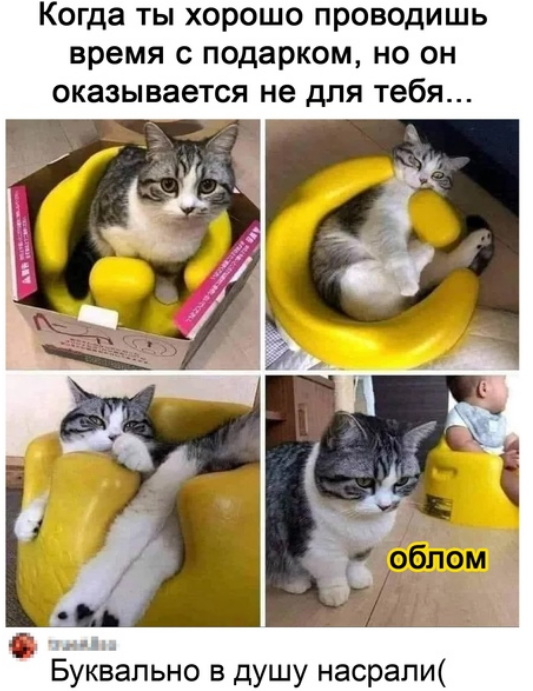 Кретинизмы из ЛМ и ЛЩ 21.02.21