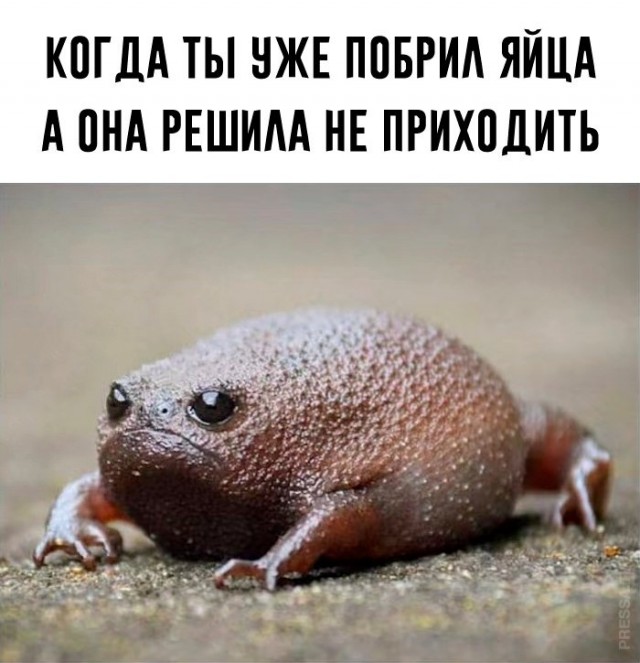 Картинки и мемы для настроения 28.06.2021