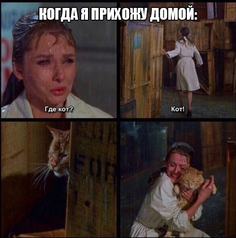 Так себе картинки 15.08.21