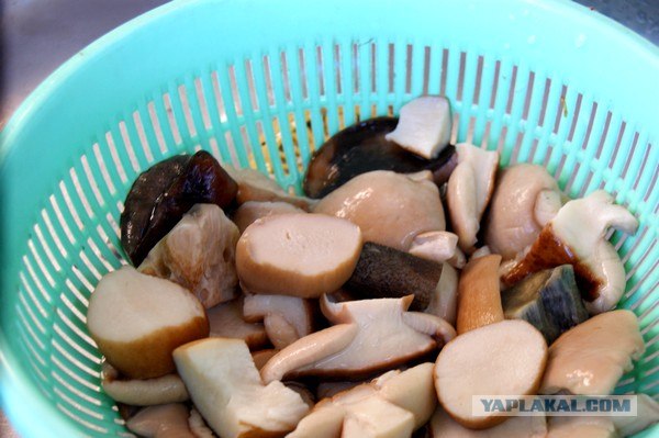 Осень в банках