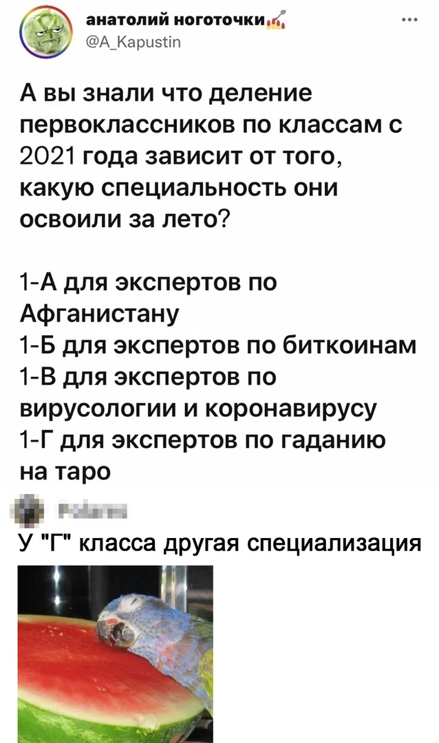 Так себе картинки 03.09.21