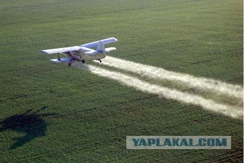 очередное шествие недобитых фашистов в латвии