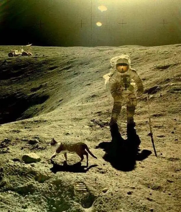 Новости с Луны