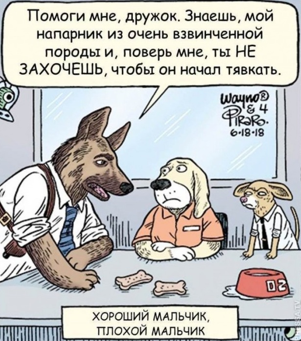 Всяческие картинки 08.12.2021