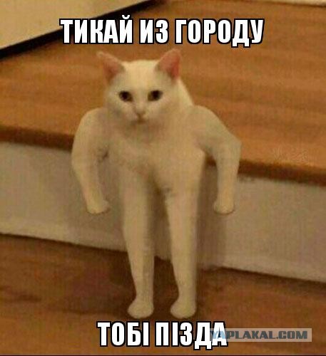 50к долларов в месяц