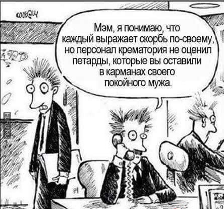 Забавные шутки, фразы, картинки из этих ваших интернетов