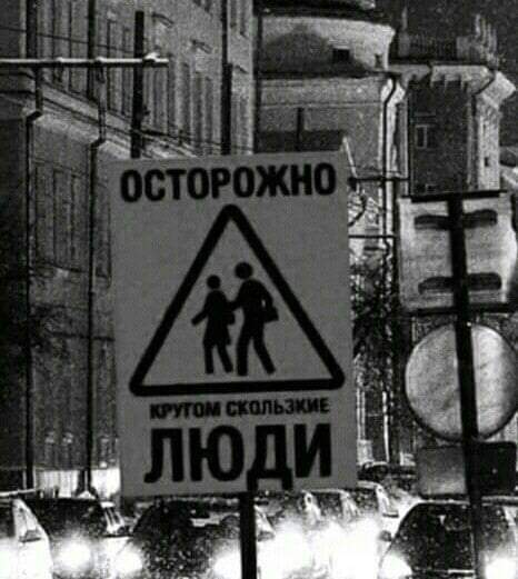 Всяческие картинки 02.02.2022