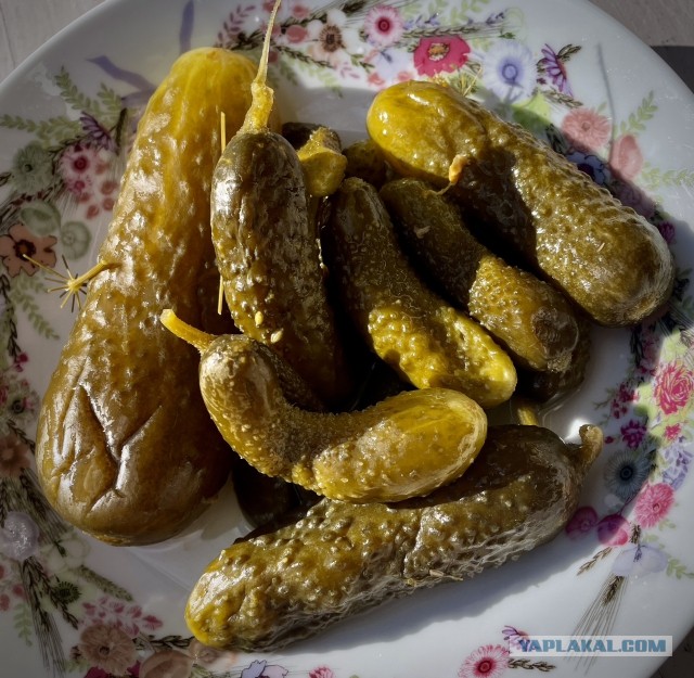 Рассольник. Суп.