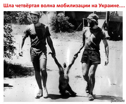 Немного Гиркина