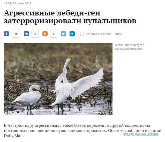 Пришла беда, откуда не ждали!
