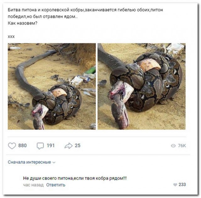 Картинки и мемы, всем хороших выходных
