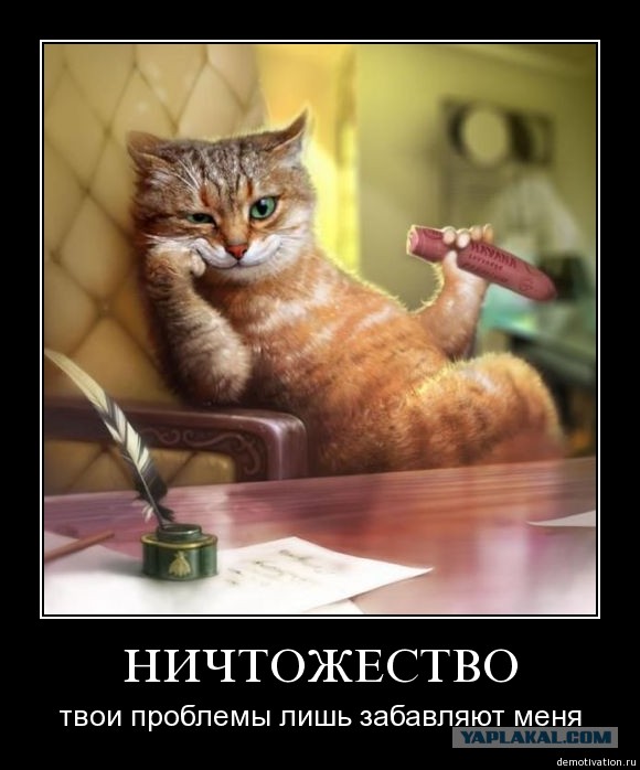 Котоманы, как не разориться на кормежке котов?