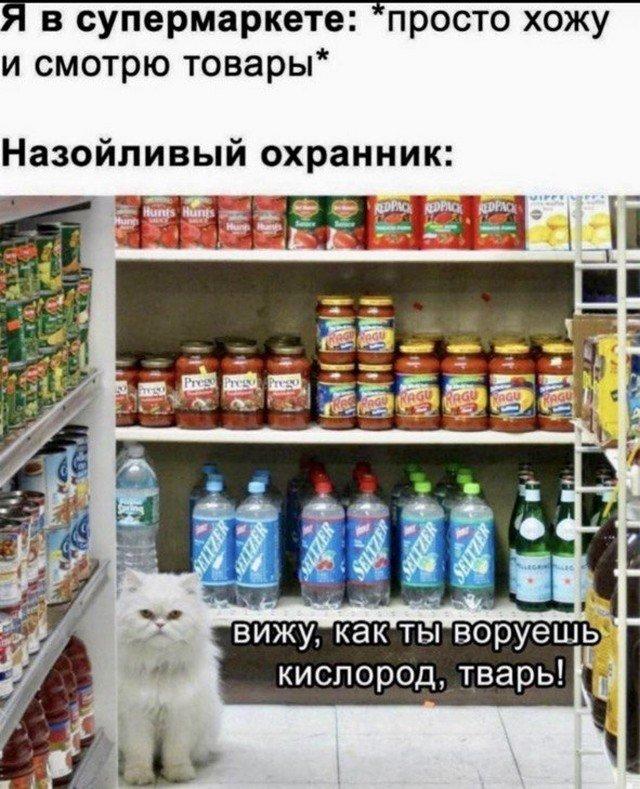 Так себе картинки 06.06.22