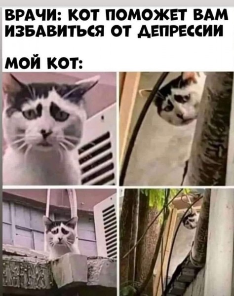 Пятница. Вечер. Картинки всякие #13