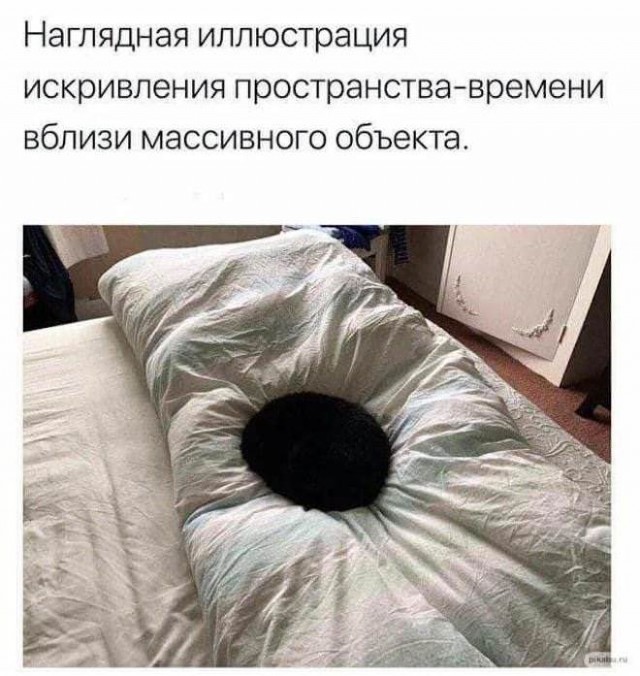 Картинки и мемы для настроения. Выходные рядышком...