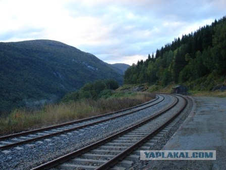 Деревня в которой я живу