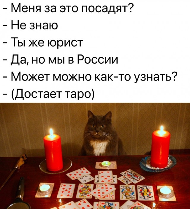 Картинки и мемы, всем хороших выходных