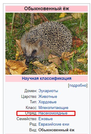 Злой оказался ёжик