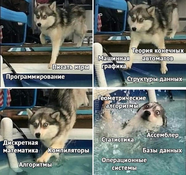 С днём программиста!