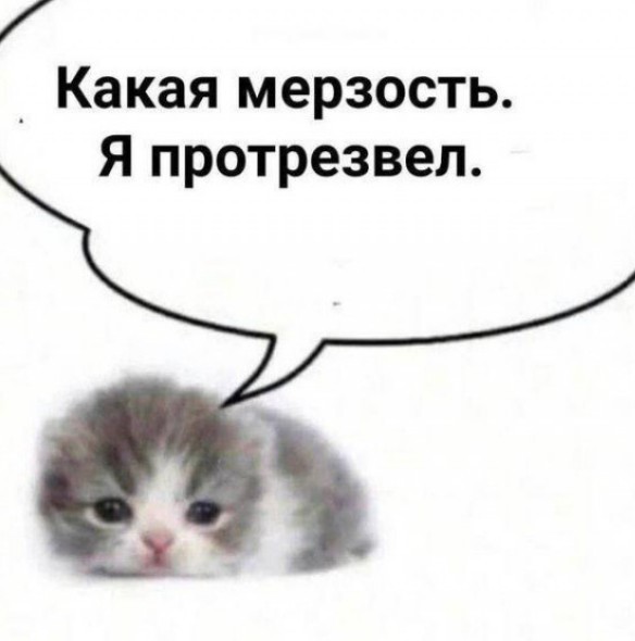 Как быть мужьям, чьи жены - "непьющие алкоголички"?⁠⁠
